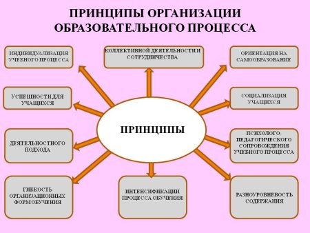 Принципs организации педагогического процесса».