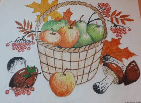 Дары природы рисунок