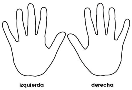 Трафарет ладошки