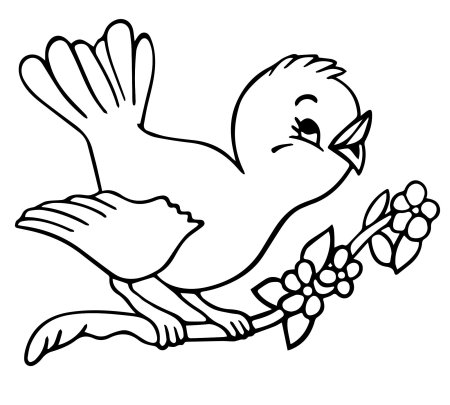 Птицы. Раскраска