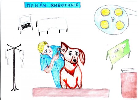 Рисунок на тему ветеринар