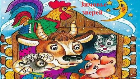 Зимовье зверей картинки для детей