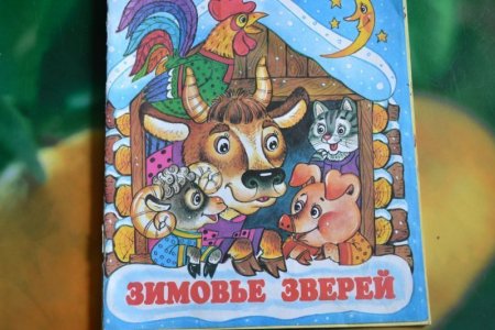 Зимовье зверей раскраска для детей