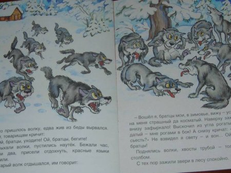 Зимовье зверей книжка