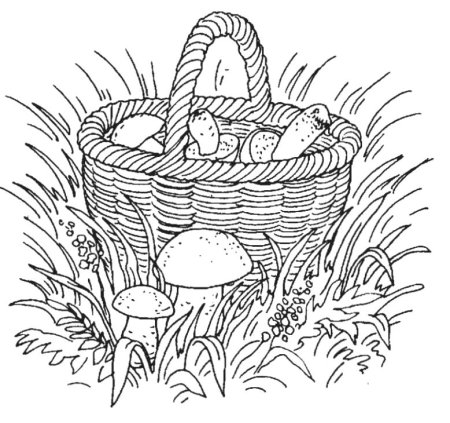Корзина с грибами раскраска