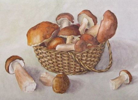 Корзина с грибами раскраска