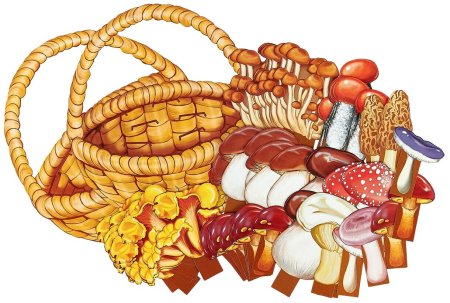 Корзинка с грибами раскраска