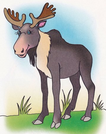 Лось для детей