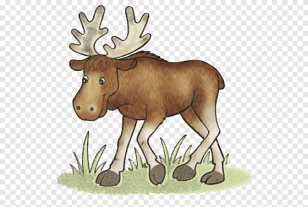 Лось для детей