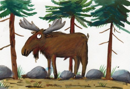 Лось раскраска