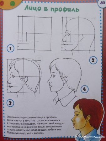 Профиль лица для рисования для детей