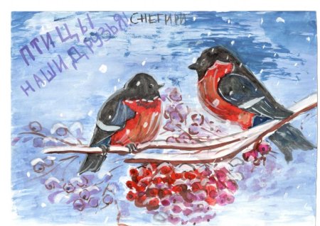 Рисование зимних птиц