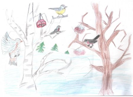 Рисование птицы на кормушке