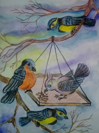 День рисования птиц