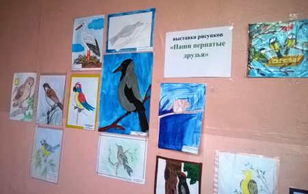 Плакат берегите птиц