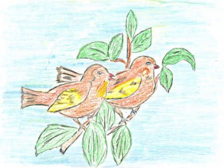 Птицы детские работы