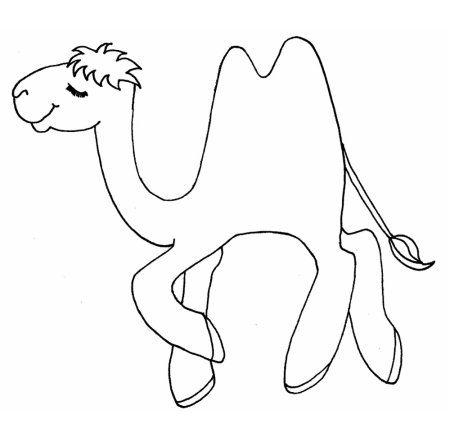 Верблюд раскраска для детей