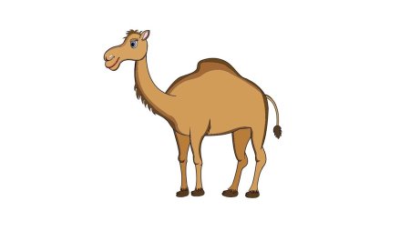 Верблюд рисунок