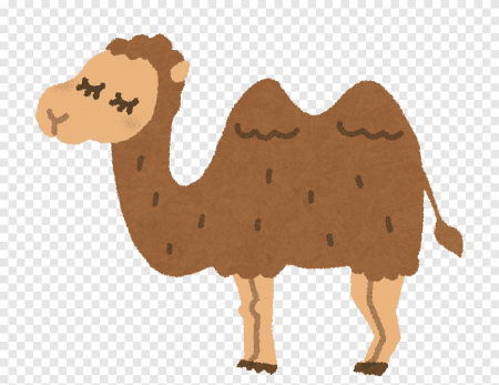 Верблюд раскраска