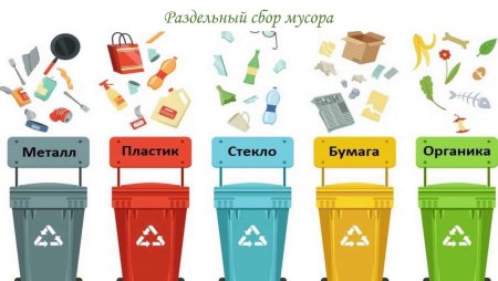 Сортировка мусора контейнеры для детей