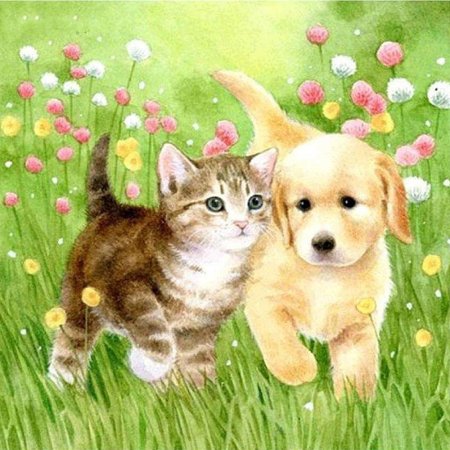 Щенок и котенок