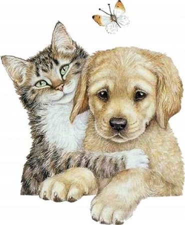 Кошка и собака рисунок