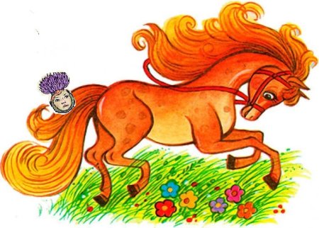 Лошадь Сивка бурка