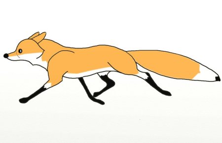 Рисунок лисы