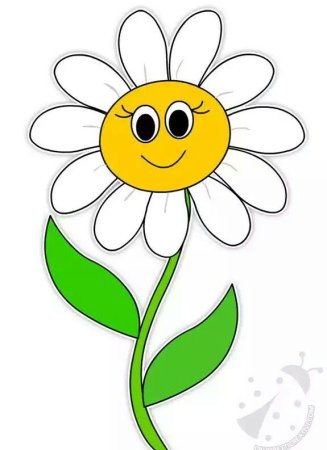 Ромашка рисунок