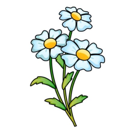 Цветы рисунок