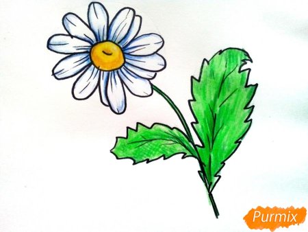 Детские рисунки ромашки