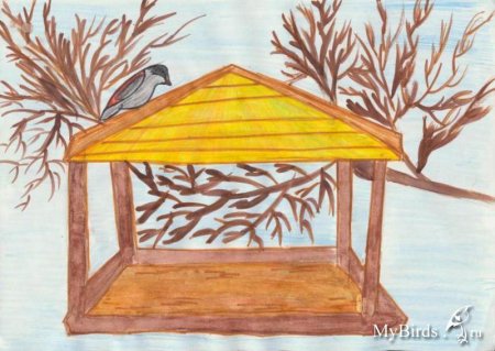 Рисование птицы на кормушке