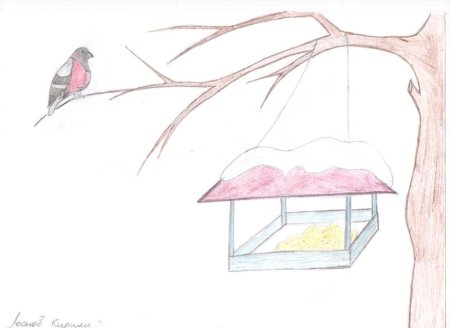 Птицы на кормушке рисование для детей