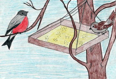 Рисование на тему кормушка для птиц