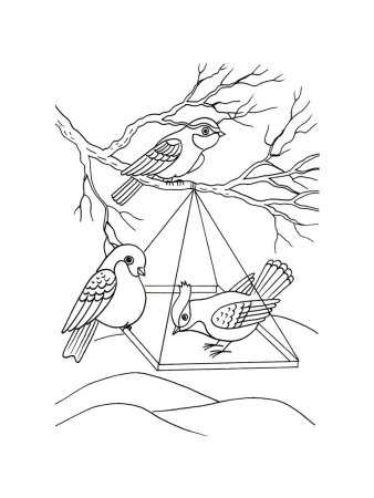 Зимующие птицы раскраски для детей