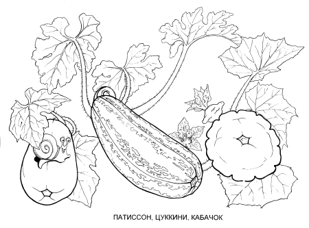 Кабачки мультяшные