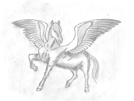Нарисовать Пегаса