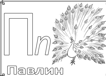 Буква п для раскрашивания