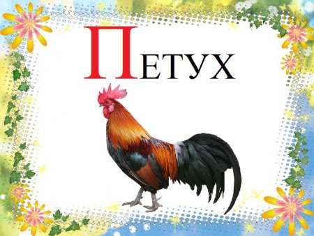 Буква п петух