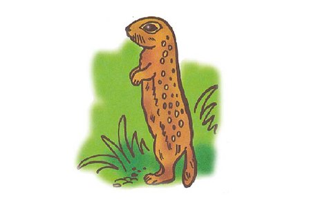 Суслик для детей