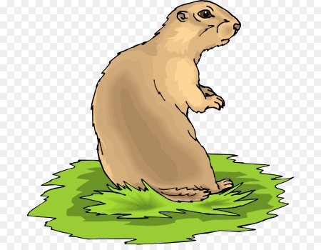 Сурок мультяшный