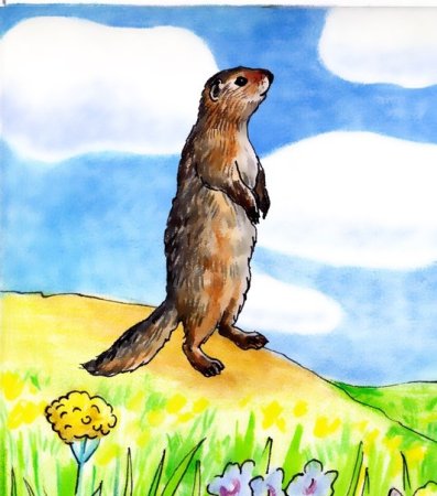 Степь рисунок