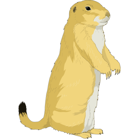 Суслик на прозрачном фоне