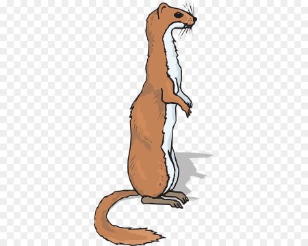 Суслик на прозрачном фоне