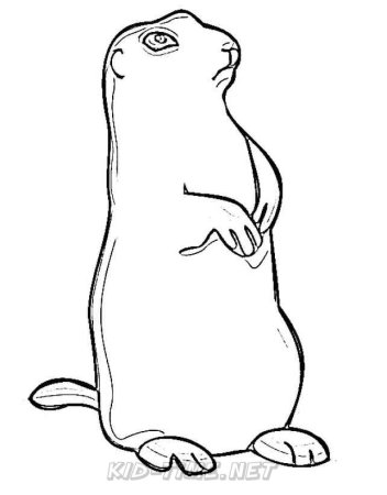 Суслик раскраска