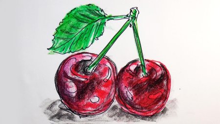 Вишня для срисовки