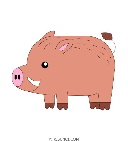 Кабан раскраска для детей