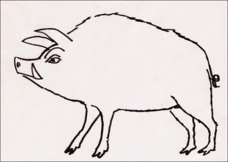 Раскраска кабанчик