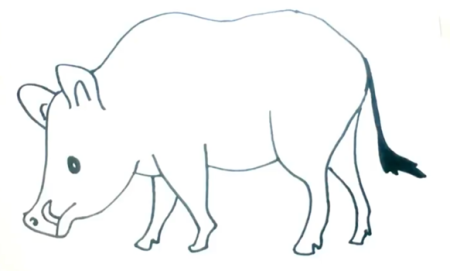 Кабанчик рисунок для детей