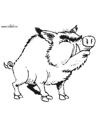 Кабан для детей